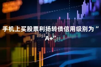 手机上买股票利扬转债信用级别为“A+”