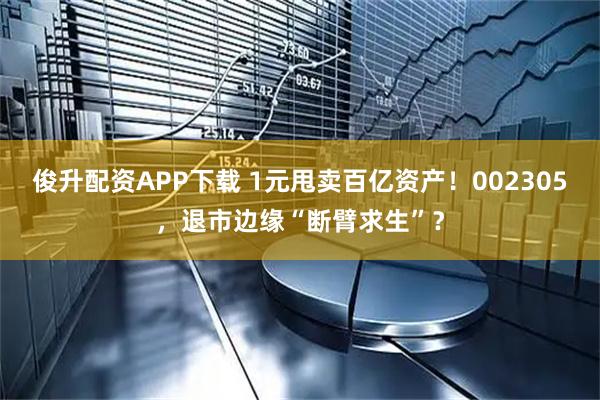 俊升配资APP下载 1元甩卖百亿资产！002305，退市边缘“断臂求生”？